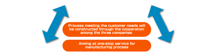 rocess meeting the customer needs will be constructed through the cooperation among the three companies.